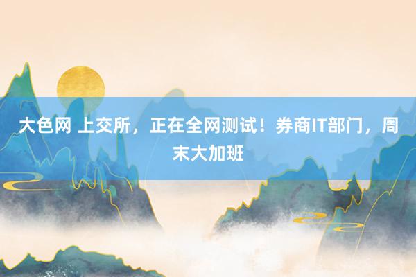 大色网 上交所，正在全网测试！券商IT部门，周末大加班