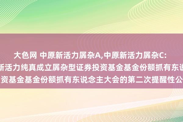 大色网 中原新活力羼杂A,中原新活力羼杂C: 对于以通信步地召开中原新活力纯真成立羼杂型证券投资基金基金份额抓有东说念主大会的第二次提醒性公告