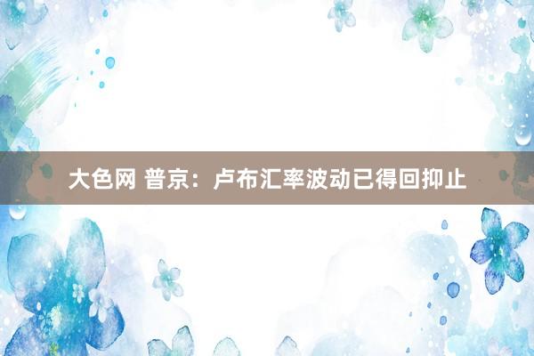 大色网 普京：卢布汇率波动已得回抑止