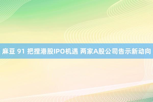 麻豆 91 把捏港股IPO机遇 两家A股公司告示新动向