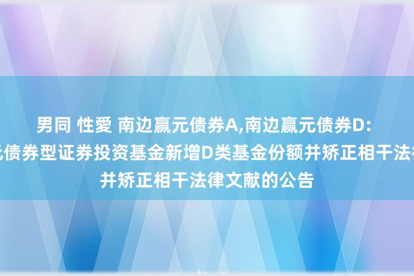 男同 性愛 南边赢元债券A,南边赢元债券D: 对于南边赢元债券型证券投资基金新增D类基金份额并矫正相干法律文献的公告