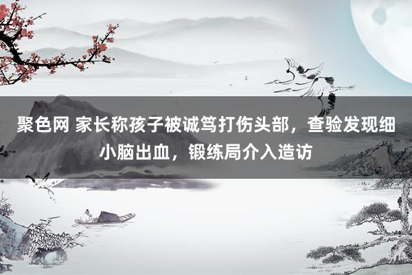 聚色网 家长称孩子被诚笃打伤头部，查验发现细小脑出血，锻练局介入造访