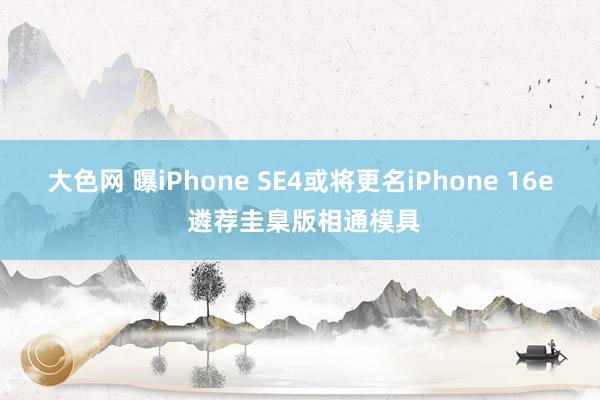 大色网 曝iPhone SE4或将更名iPhone 16e 遴荐圭臬版相通模具