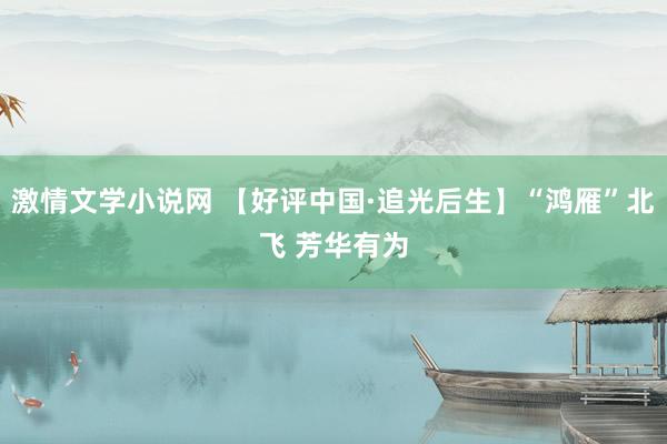 激情文学小说网 【好评中国·追光后生】“鸿雁”北飞 芳华有为