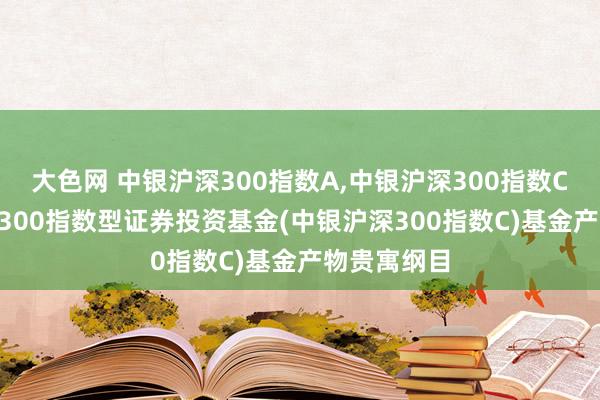 大色网 中银沪深300指数A,中银沪深300指数C: 中银沪深300指数型证券投资基金(中银沪深300指数C)基金产物贵寓纲目