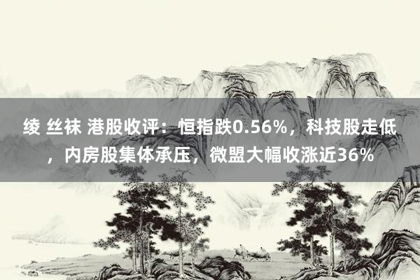 绫 丝袜 港股收评：恒指跌0.56%，科技股走低，内房股集体承压，微盟大幅收涨近36%