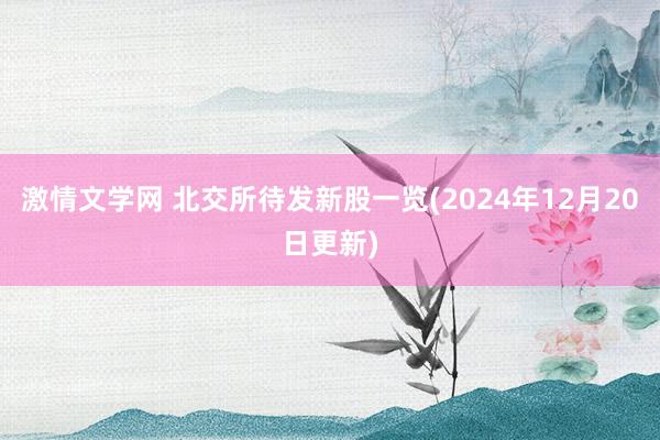 激情文学网 北交所待发新股一览(2024年12月20日更新)