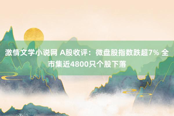 激情文学小说网 A股收评：微盘股指数跌超7% 全市集近4800只个股下落