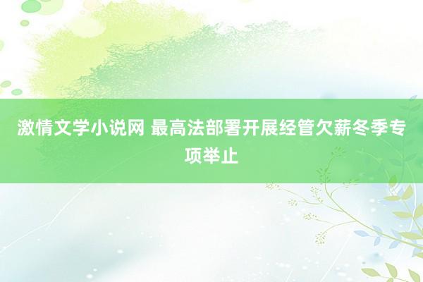 激情文学小说网 最高法部署开展经管欠薪冬季专项举止