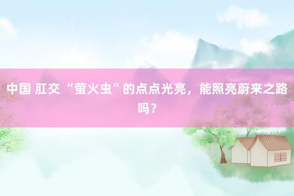 中国 肛交 “萤火虫”的点点光亮，能照亮蔚来之路吗？