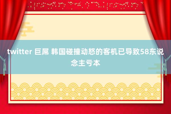 twitter 巨屌 韩国碰撞动怒的客机已导致58东说念主亏本