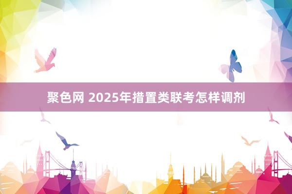 聚色网 2025年措置类联考怎样调剂
