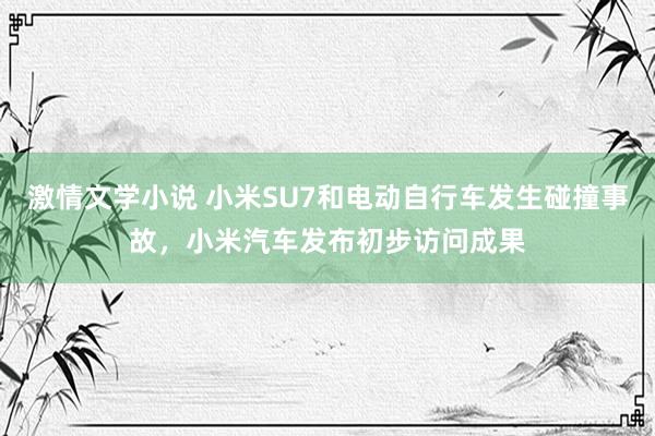 激情文学小说 小米SU7和电动自行车发生碰撞事故，小米汽车发布初步访问成果