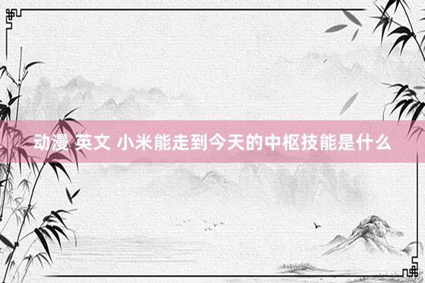 动漫 英文 小米能走到今天的中枢技能是什么