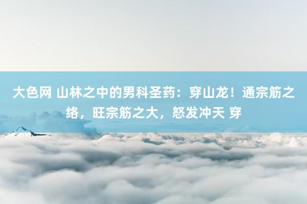 大色网 山林之中的男科圣药:穿山龙!通宗筋之络,旺宗筋之大,怒发冲天 穿