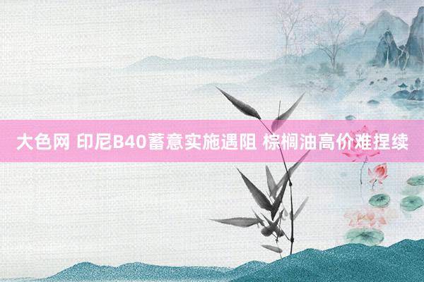 大色网 印尼B40蓄意实施遇阻 棕榈油高价难捏续