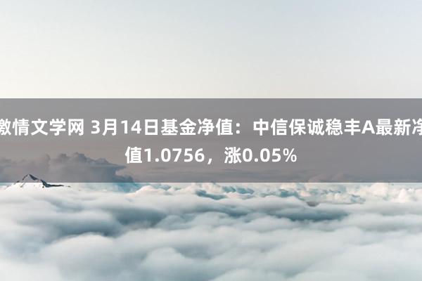 激情文学网 3月14日基金净值：中信保诚稳丰A最新净值1.0756，涨0.05%