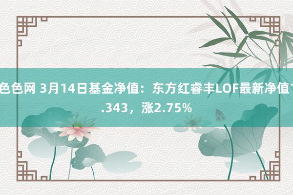 色色网 3月14日基金净值：东方红睿丰LOF最新净值1.343，涨2.75%