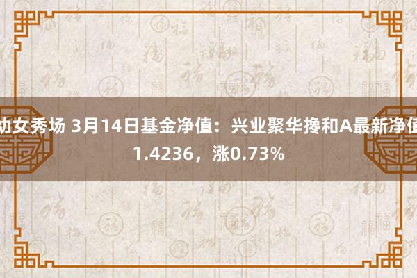 幼女秀场 3月14日基金净值：兴业聚华搀和A最新净值1.4236，涨0.73%
