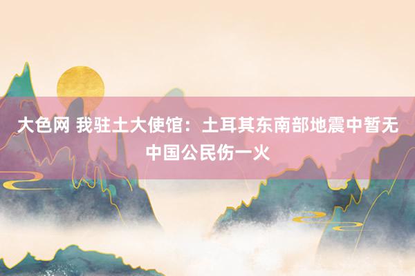 大色网 我驻土大使馆：土耳其东南部地震中暂无中国公民伤一火