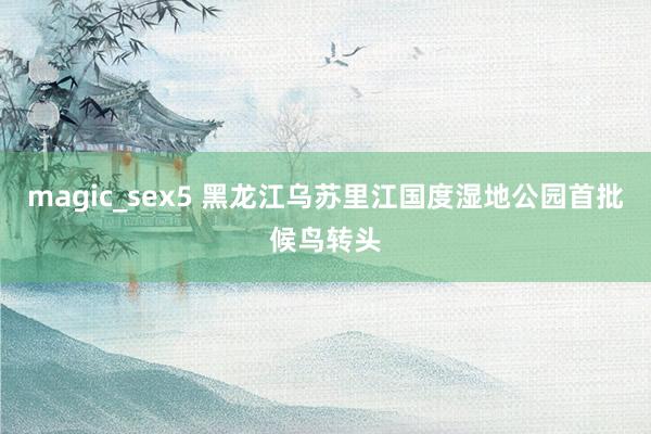 magic_sex5 黑龙江乌苏里江国度湿地公园首批候鸟转头