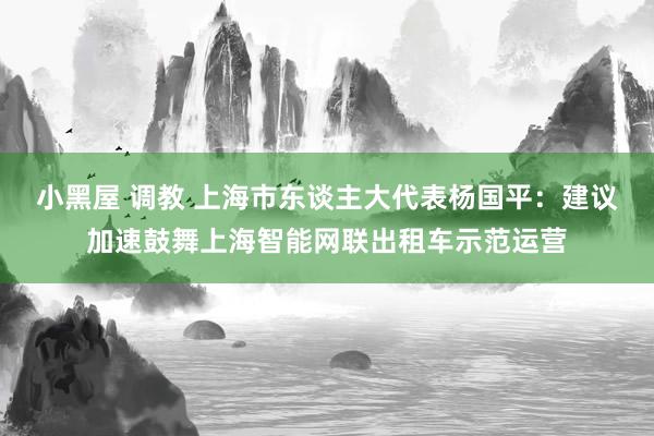 小黑屋 调教 上海市东谈主大代表杨国平：建议加速鼓舞上海智能网联出租车示范运营