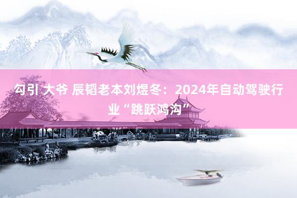 勾引 大爷 辰韬老本刘煜冬：2024年自动驾驶行业“跳跃鸿沟”