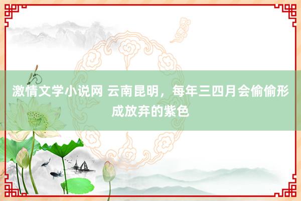 激情文学小说网 云南昆明，每年三四月会偷偷形成放弃的紫色