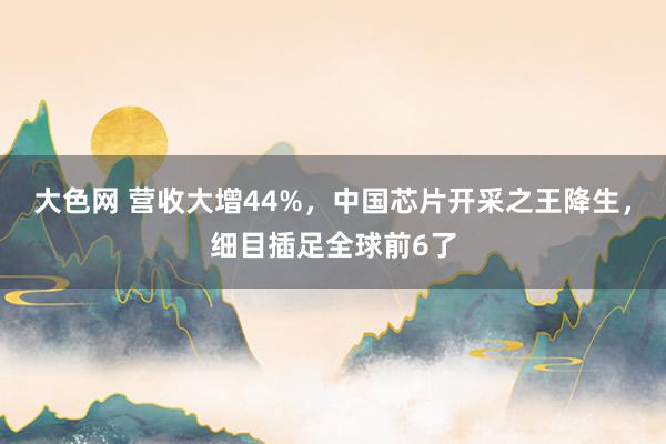 大色网 营收大增44%，中国芯片开采之王降生，细目插足全球前6了