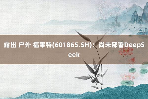 露出 户外 福莱特(601865.SH)：尚未部署DeepSeek