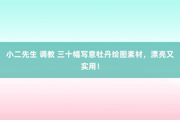 小二先生 调教 三十幅写意牡丹绘图素材，漂亮又实用！