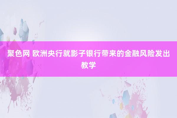 聚色网 欧洲央行就影子银行带来的金融风险发出教学