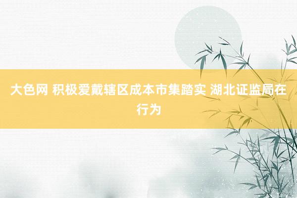 大色网 积极爱戴辖区成本市集踏实 湖北证监局在行为