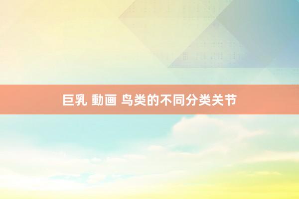 巨乳 動画 鸟类的不同分类关节