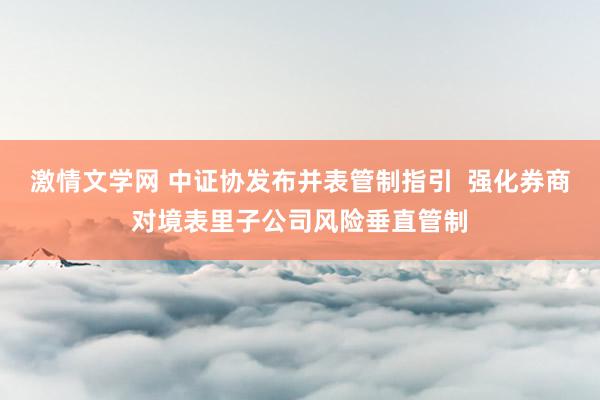 激情文学网 中证协发布并表管制指引  强化券商对境表里子公司风险垂直管制