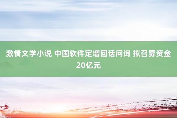 激情文学小说 中国软件定增回话问询 拟召募资金20亿元